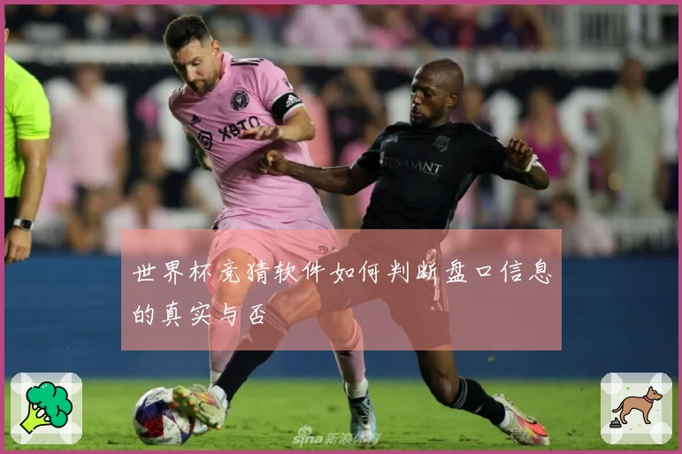 世界杯竞猜软件如何判断盘口信息的真实与否