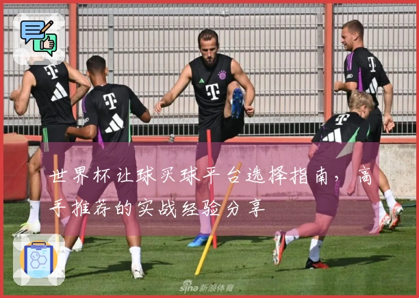 世界杯让球买球平台选择指南，高手推荐的实战经验分享