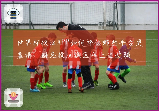世界杯投注APP如何评估哪些平台更靠谱，避免投注误区和上当受骗