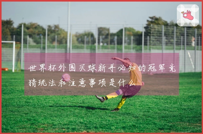 世界杯外围买球新手必知的冠军竞猜玩法和注意事项是什么