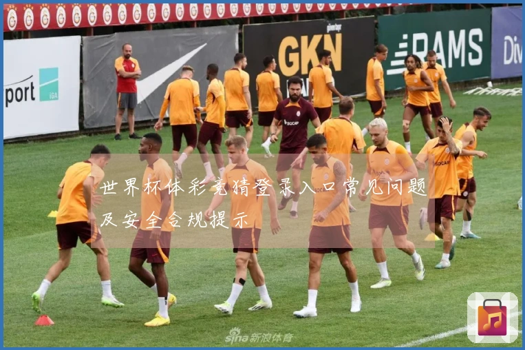 世界杯体彩竞猜登录入口常见问题及安全合规提示