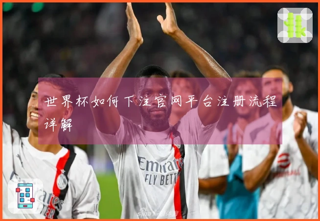 世界杯如何下注官网平台注册流程详解