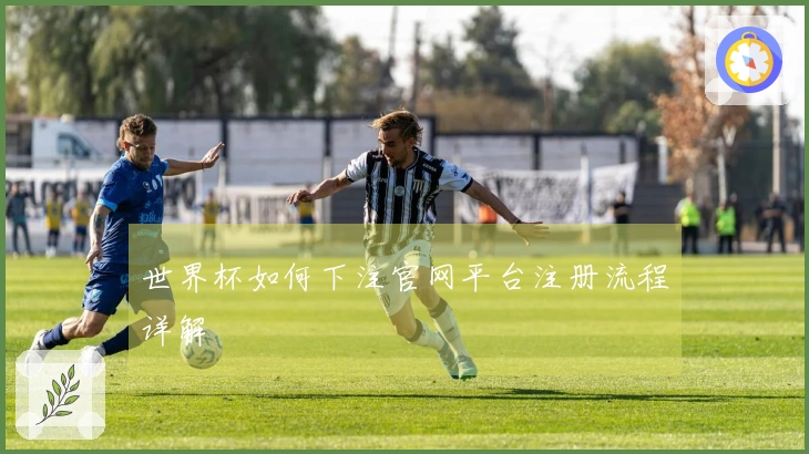 世界杯如何下注官网平台注册流程详解