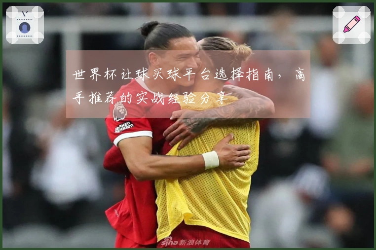 世界杯让球买球平台选择指南，高手推荐的实战经验分享