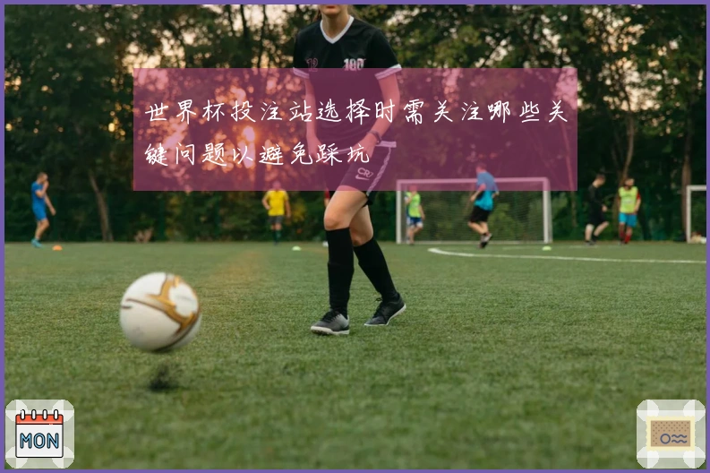 世界杯投注站选择时需关注哪些关键问题以避免踩坑