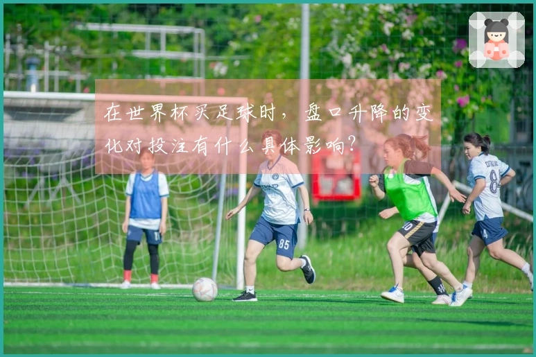 在世界杯买足球时，盘口升降的变化对投注有什么具体影响？