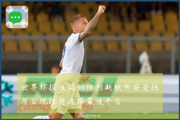 世界杯投注站如何判断软件安全性与合规性并选择最佳平台