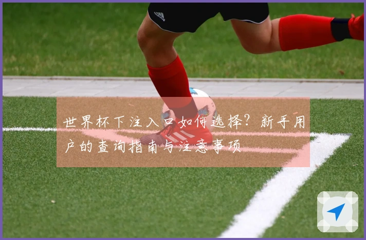 世界杯下注入口如何选择？新手用户的查询指南与注意事项