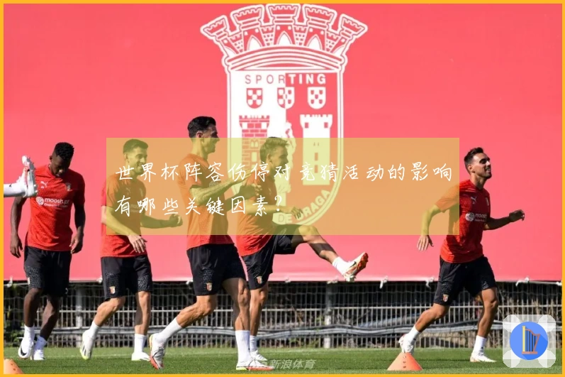 世界杯阵容伤停对竞猜活动的影响有哪些关键因素？