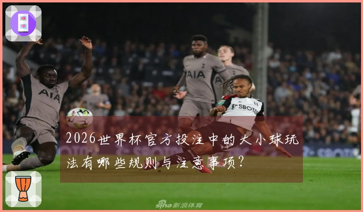 2026世界杯官方投注中的大小球玩法有哪些规则与注意事项？