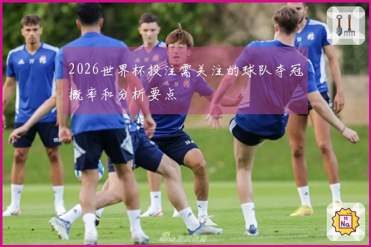 2026世界杯投注需关注的球队夺冠概率和分析要点