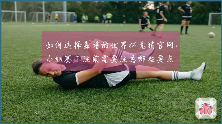 如何选择靠谱的世界杯竞猜官网，小组赛下注前需要注意哪些要点