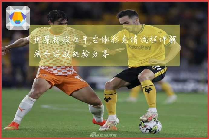 世界杯投注平台体彩竞猜流程详解老手实战经验分享