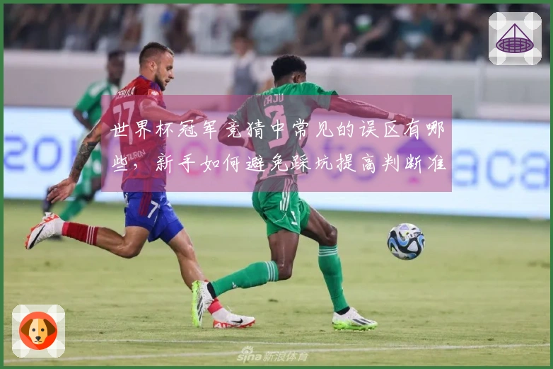世界杯冠军竞猜中常见的误区有哪些，新手如何避免踩坑提高判断准确率