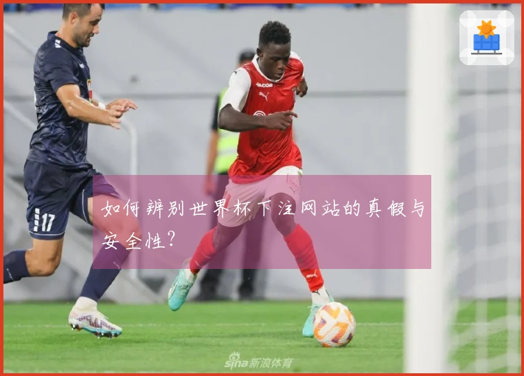 如何辨别世界杯下注网站的真假与安全性?
