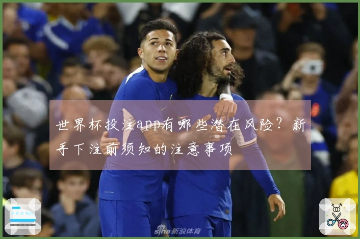 世界杯投注app有哪些潜在风险？新手下注前须知的注意事项