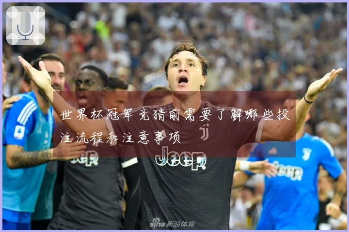 世界杯冠军竞猜前需要了解哪些投注流程和注意事项