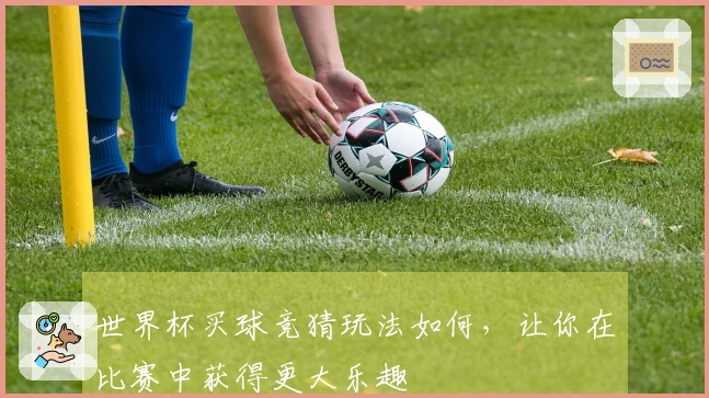 世界杯买球竞猜玩法如何，让你在比赛中获得更大乐趣