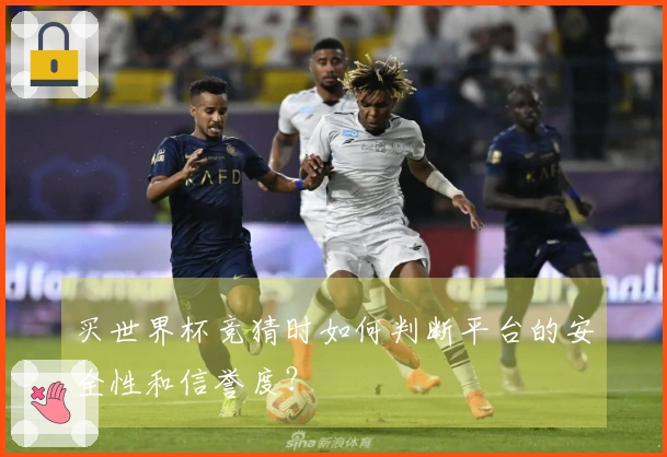 买世界杯竞猜时如何判断平台的安全性和信誉度？