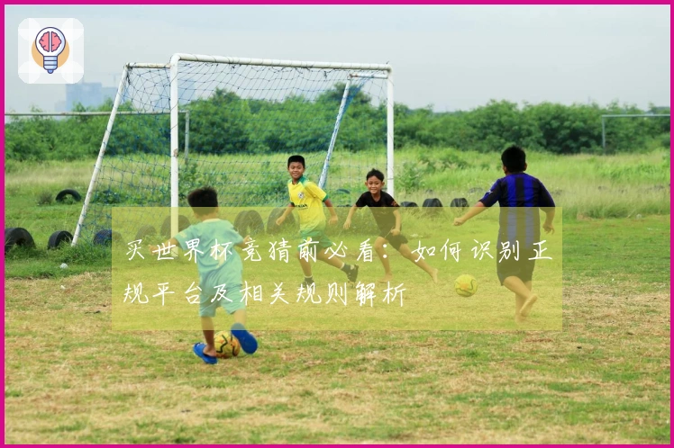 买世界杯竞猜前必看：如何识别正规平台及相关规则解析