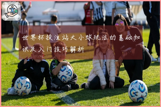 世界杯投注站大小球玩法的基础知识及入门技巧解析