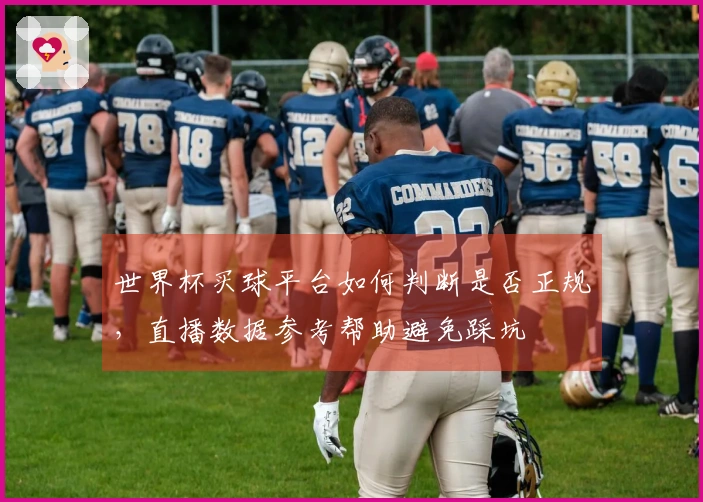 世界杯买球平台如何判断是否正规，直播数据参考帮助避免踩坑