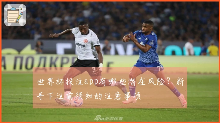 世界杯投注app有哪些潜在风险?新手下注前须知的注意事项
