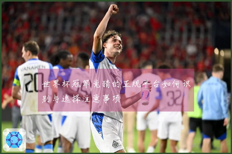 世界杯冠军竞猜的正规平台如何识别与选择注意事项