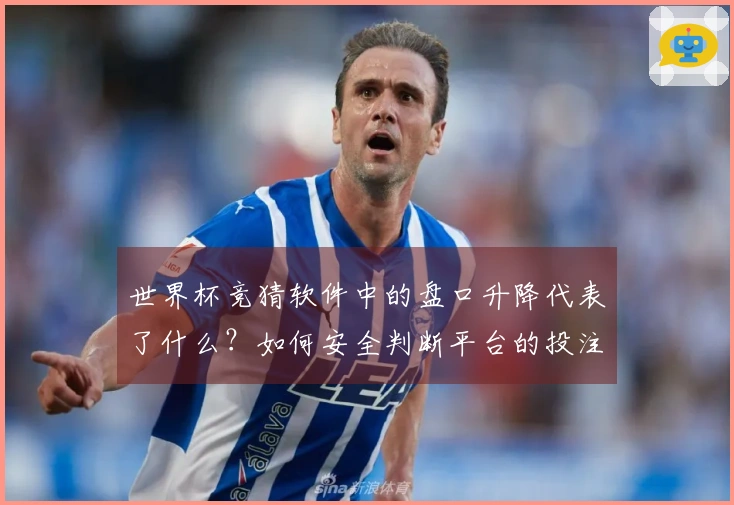 世界杯竞猜软件中的盘口升降代表了什么?如何安全判断平台的投注风险?