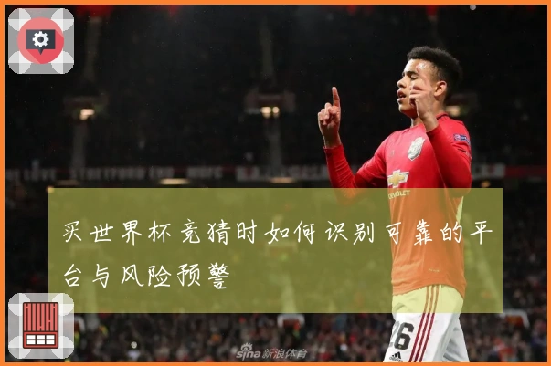 买世界杯竞猜时如何识别可靠的平台与风险预警