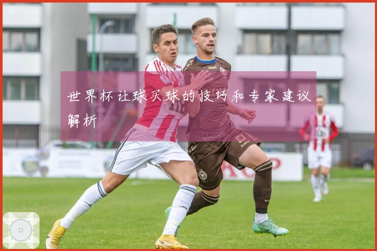 世界杯让球买球的技巧和专家建议解析