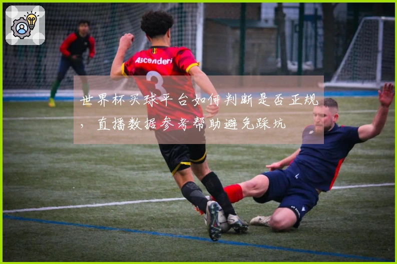 世界杯买球平台如何判断是否正规，直播数据参考帮助避免踩坑